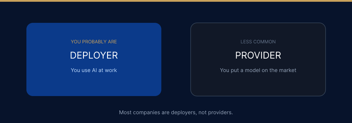 A deployer uses AI under its authority. A provider places a system on the market.